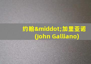 约翰·加里亚诺(John Galliano)